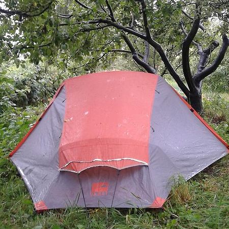 Issyk-Kul - Camping Grigoryevka Hotel Grigor'yevka Buitenkant foto