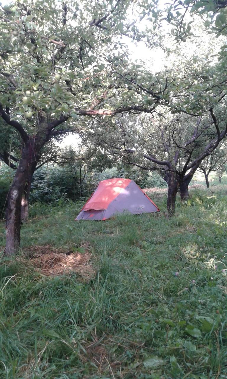 Issyk-Kul - Camping Grigoryevka Hotel Grigor'yevka Buitenkant foto