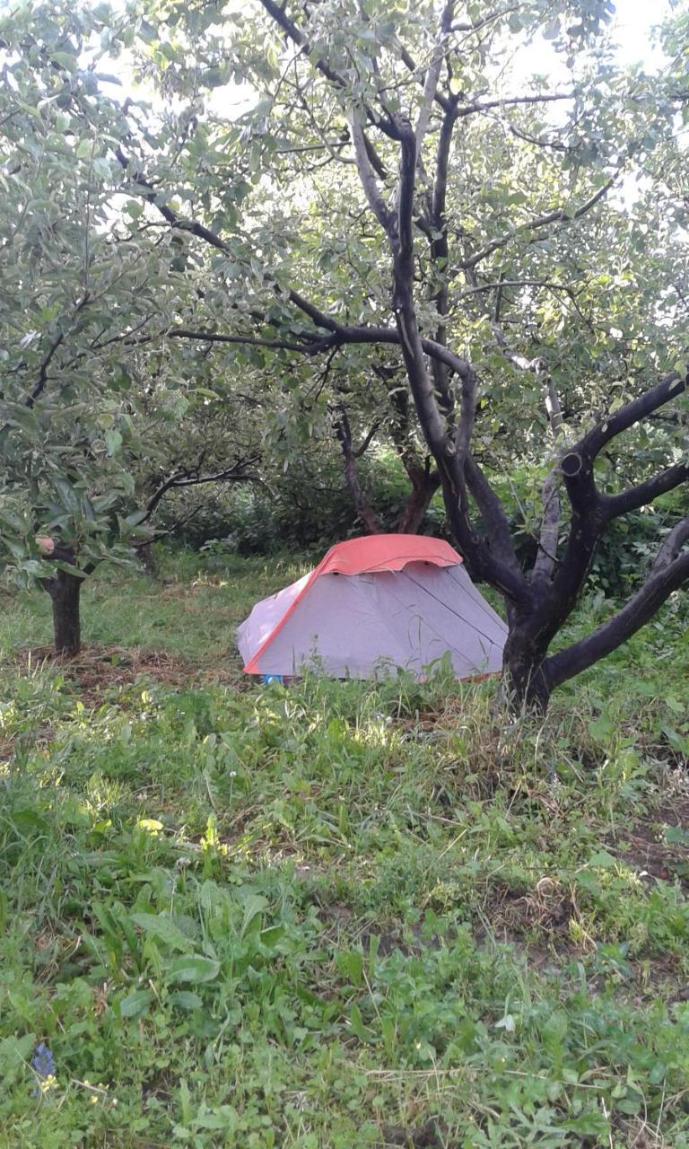 Issyk-Kul - Camping Grigoryevka Hotel Grigor'yevka Buitenkant foto
