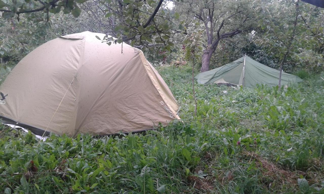 Issyk-Kul - Camping Grigoryevka Hotel Grigor'yevka Buitenkant foto